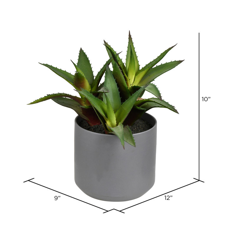 10'' Faux Succulent Plant in Ceramic Pot
