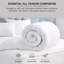 Medium-Weight Comfort For Year-Round Use Hollow Fiber Duvet-92415104-70931051