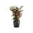 Ecopots Oslo Indoor/Outdoor Modern Recycled Plastic Flower Pot Planter-80209419-80209424