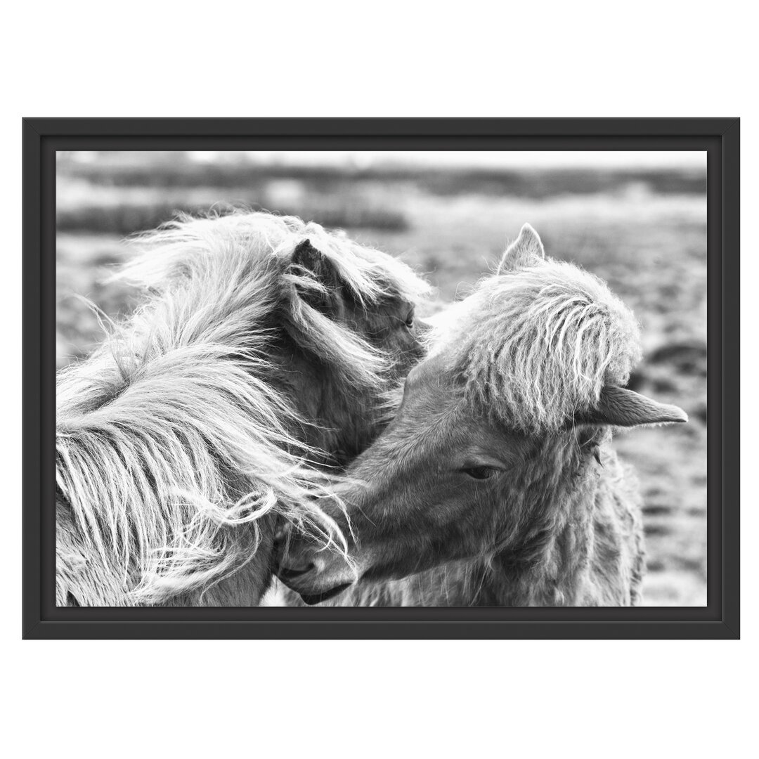 Gerahmtes Wandbild Islandpferde Pony Kunst B&W