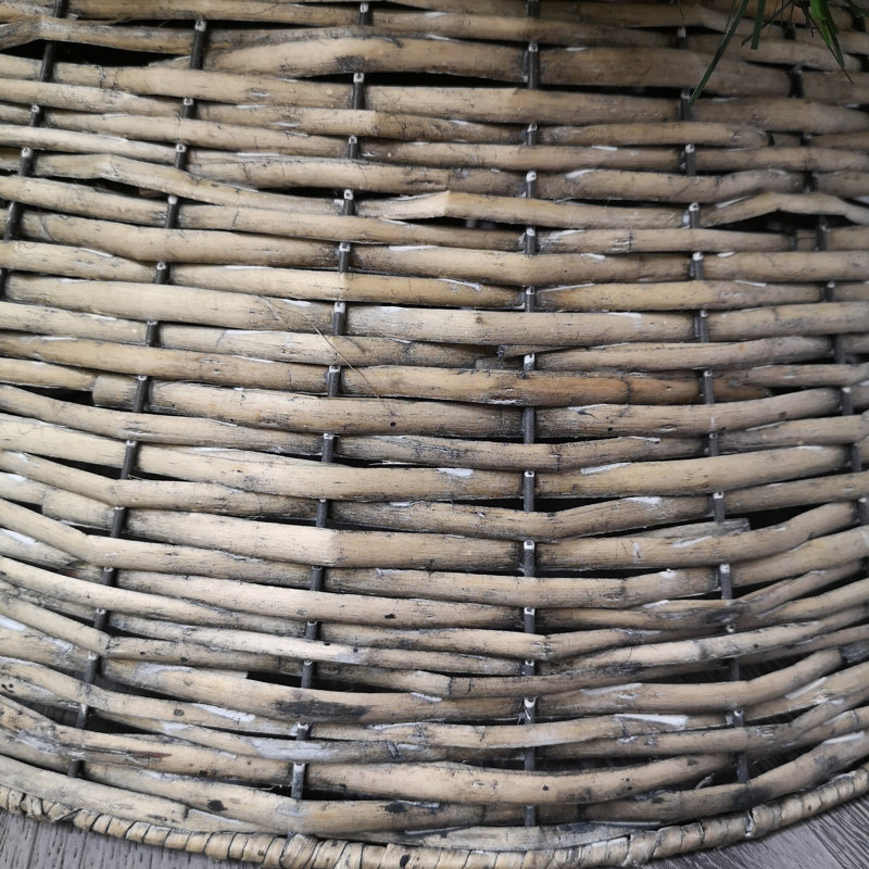 Tree Skirt