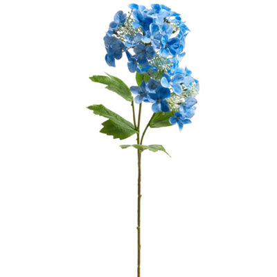 Hydrangea Arrangement