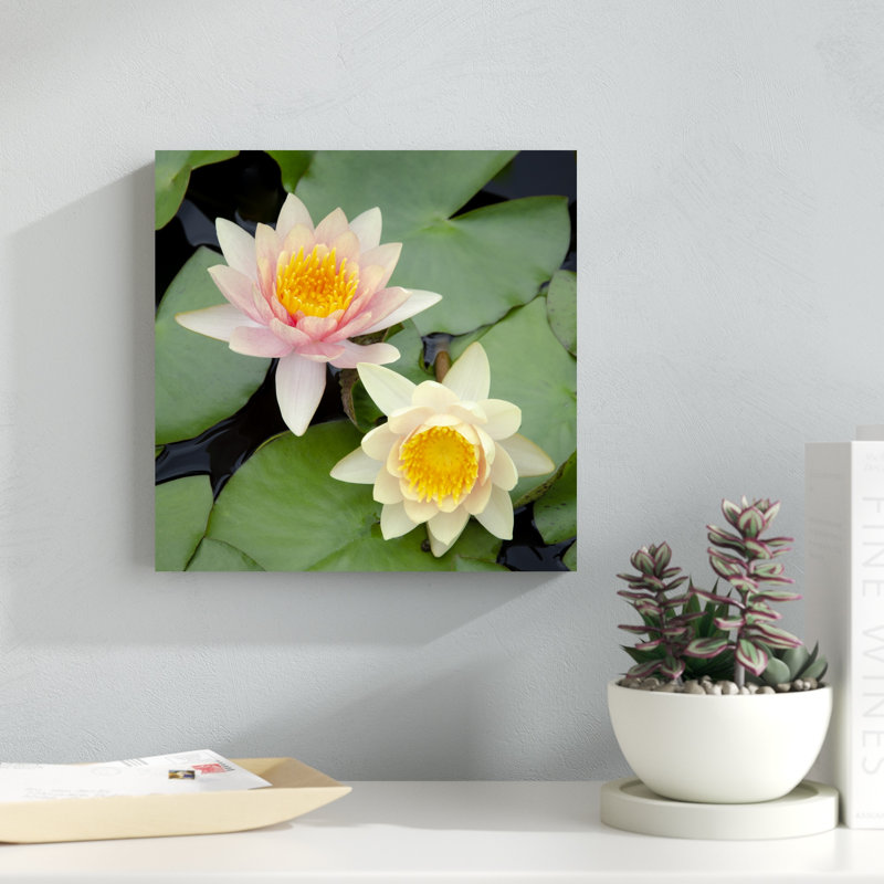 Fleurs de nénuphar I, H 12 po x l 12 po
