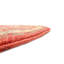 Oriental Area Rug-1185322059