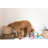Harry Barker Fabric Bin