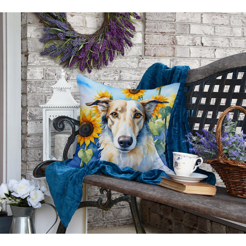 Other/No Pattern Outdoor Throw Pillow, 18" H x 18" W