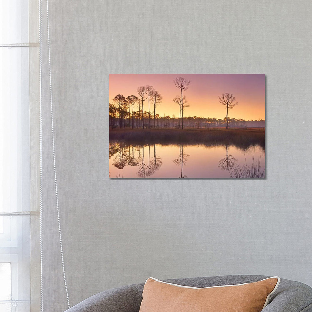 Pineland At Piney Point Near Hagen's Cove, Florida von Tim Fitzharris - Gallery-Wrapped Canvas Giclée