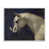 Giclée encadrée blanc bord de mer sélectionné