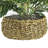 14'' Faux Palm Plant in Wicker/Rattan Basket