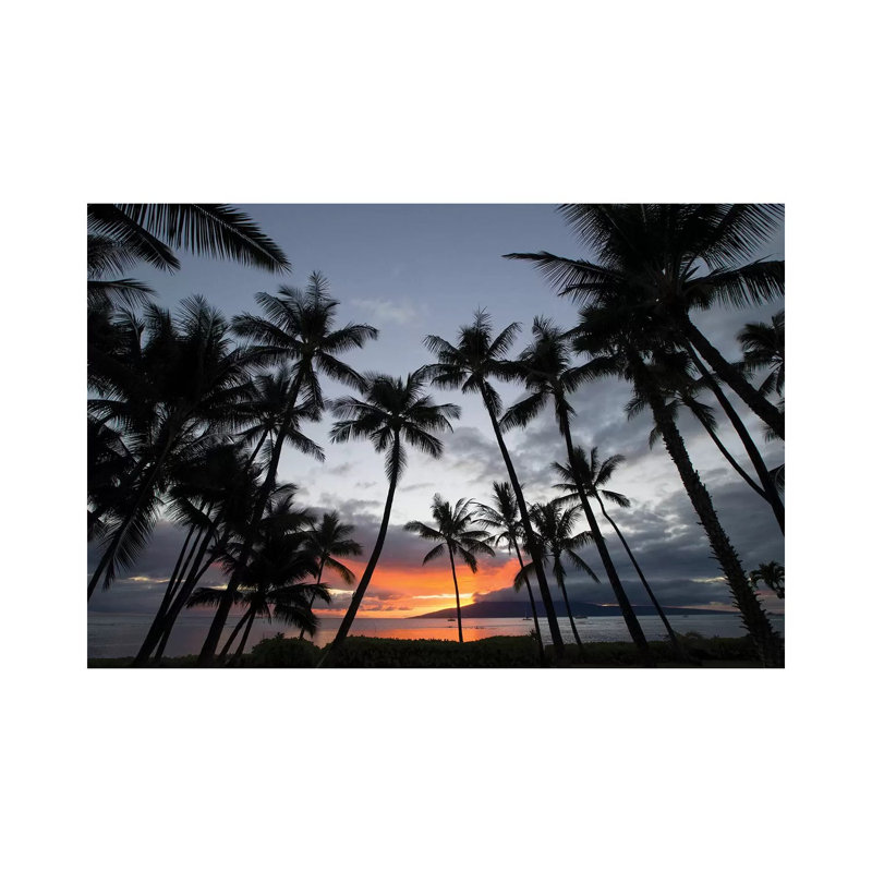 Silhouette Of Palm Trees At Dusk, Lahaina, Maui, Hawaii, USA - Wrapped Canvas Print, 20.32 cm H x 30.48 cm W