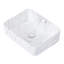 Garden Sanctuary Ceramic；Stainless Steel；PP Sink-1218907640
