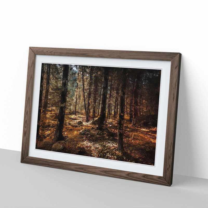 Within the Woods - Framed Print, 48cm H x 65cm W x 2cm D, Walnut Framed