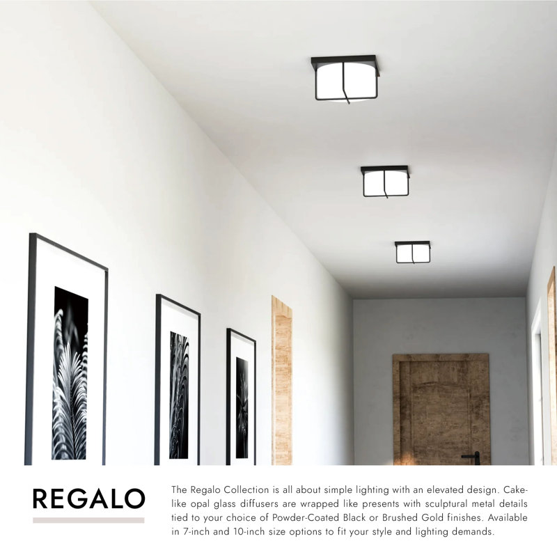 Regalo 1 - Light LED Flush Mount, Black, 5.63" H x 10.13" W x 10.13" D