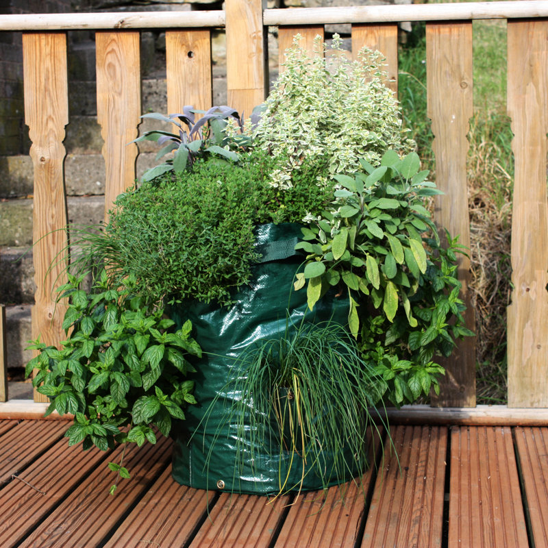 Cuvier Herb Planter
