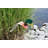 Eser Weather Resistant Plastic Animals Garden Art