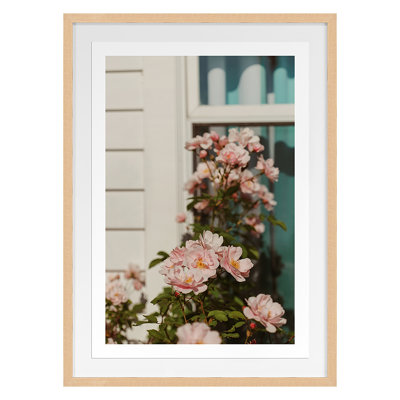 Plants & Flowers Print by Bock, Alicia