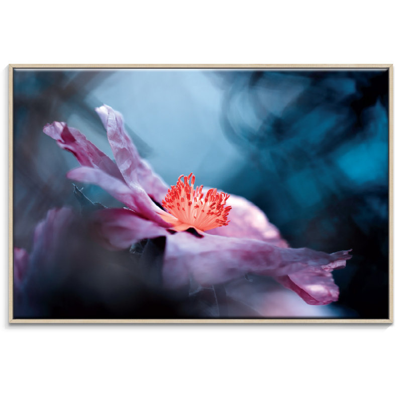 Print on Canvas, 102cm H x 152cm W, Timber Floater Frame