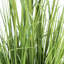 Bambou artificiel en pot et herbe-1928740262