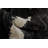 Avyaan Abstract Indoor Rug-2114147840