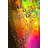 Colorful Bubbles - Wrapped Canvas Print-1682193241