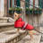 Outdoor swimsuit with a tail Waterproof Dog Raincoat Pet Jacket Outdoor Rain Cover For Dogs Cats Walking Travel Weather Protection Clothing-135399626