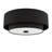 Hunter Brookside 2 Light Flush Mount Ceiling Light Fixture-114532190-114532189