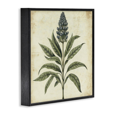 Vintage Botanical Illustration Framed Giclee, design by Petal Prints Design