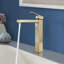 Robinet de salle de bain Topcraft à poignée unique pour lavabo