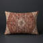 Modern Contemporary Indoor and Outdoor Throw Pillow-114464411-114464331
