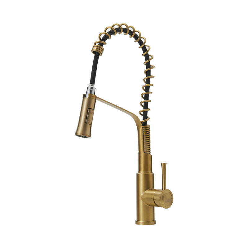 Belfry Kitchen Catawba Pull Down Kitchen Faucet, Brushed Gold