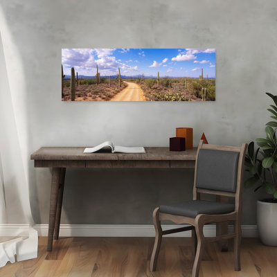Road, Saguaro National Park, Arizona, Usa Abstract Contemporary Cactus Landscape Nature Wall Art