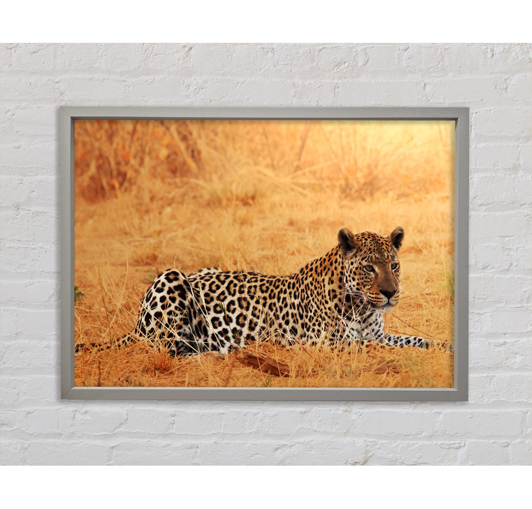 Leopard Waiting - Einzelner Bilderrahmen Kunstdrucke auf Leinwand