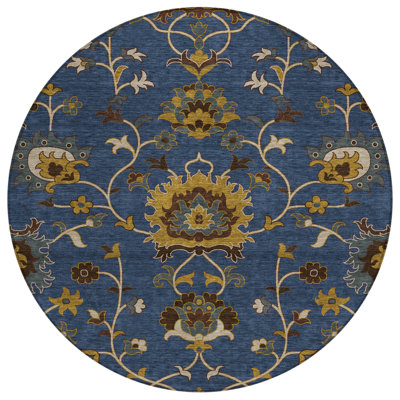Machine Washable Indoor/Outdoor Chantille ACN2290 Global Rug