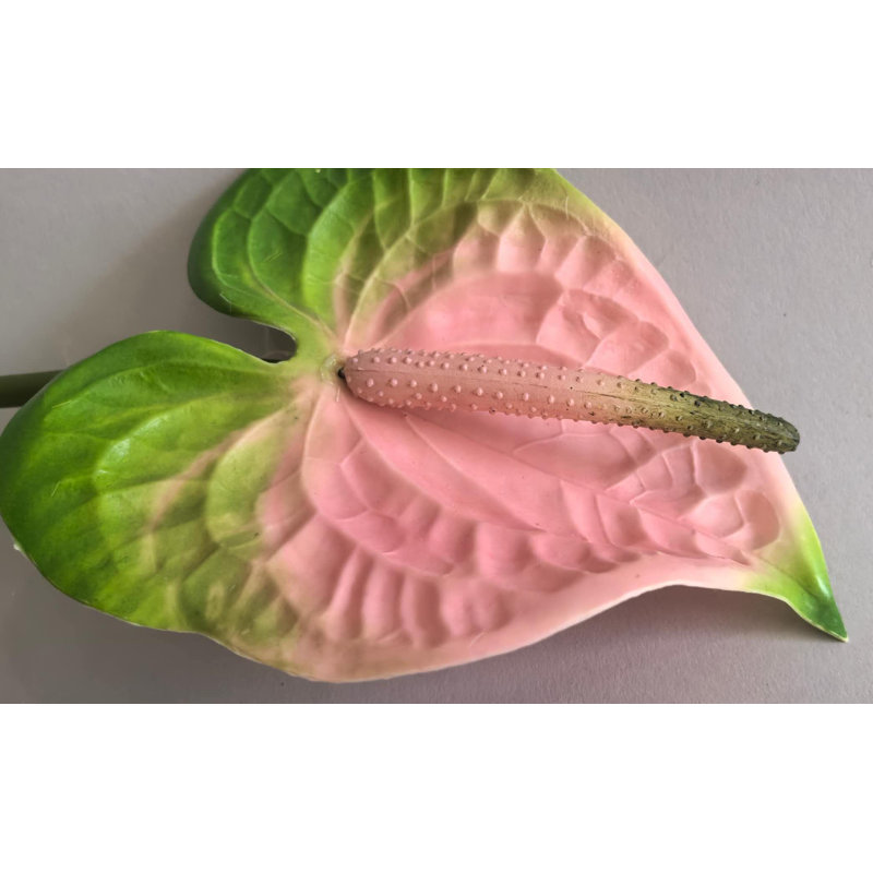 ANTHURIUM 20'', Rose / Vert