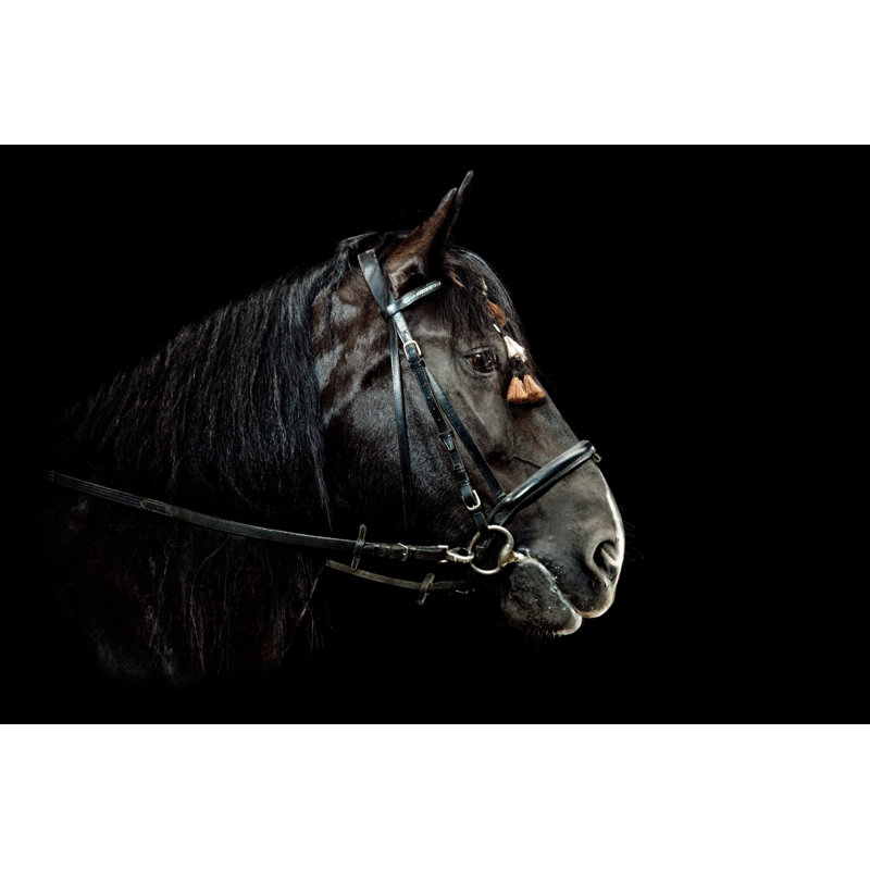 Horse Portrait by Pixalot - Wrapped Canvas Print, 20cm H x 30cm W