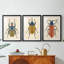 Beetle Bug I - reproduction sur mesure encadrée de qualité supérieure - 3 pièces-1935264788