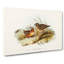 Plumed Bronze-Wing Partridges by Elizabeth Gould - Wrapped Canvas-55325433
