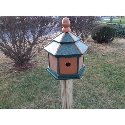 Maison d'oiseaux Amish 20 po x 15 po x 13 po Arcade