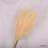 Silk Pampas Grass Arrangement-213036443-238066806
