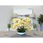 Orchids Arranged in Fiberstone Planter-272626192