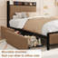Structure de lit simple TG avec 2 tiroirs et station de charge, brun