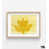 Cadre simple brun clair avec passe-partout