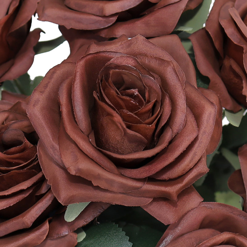 Grand rosier Jaafer Deluxe, Brun