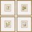 Fountains II Framed Art