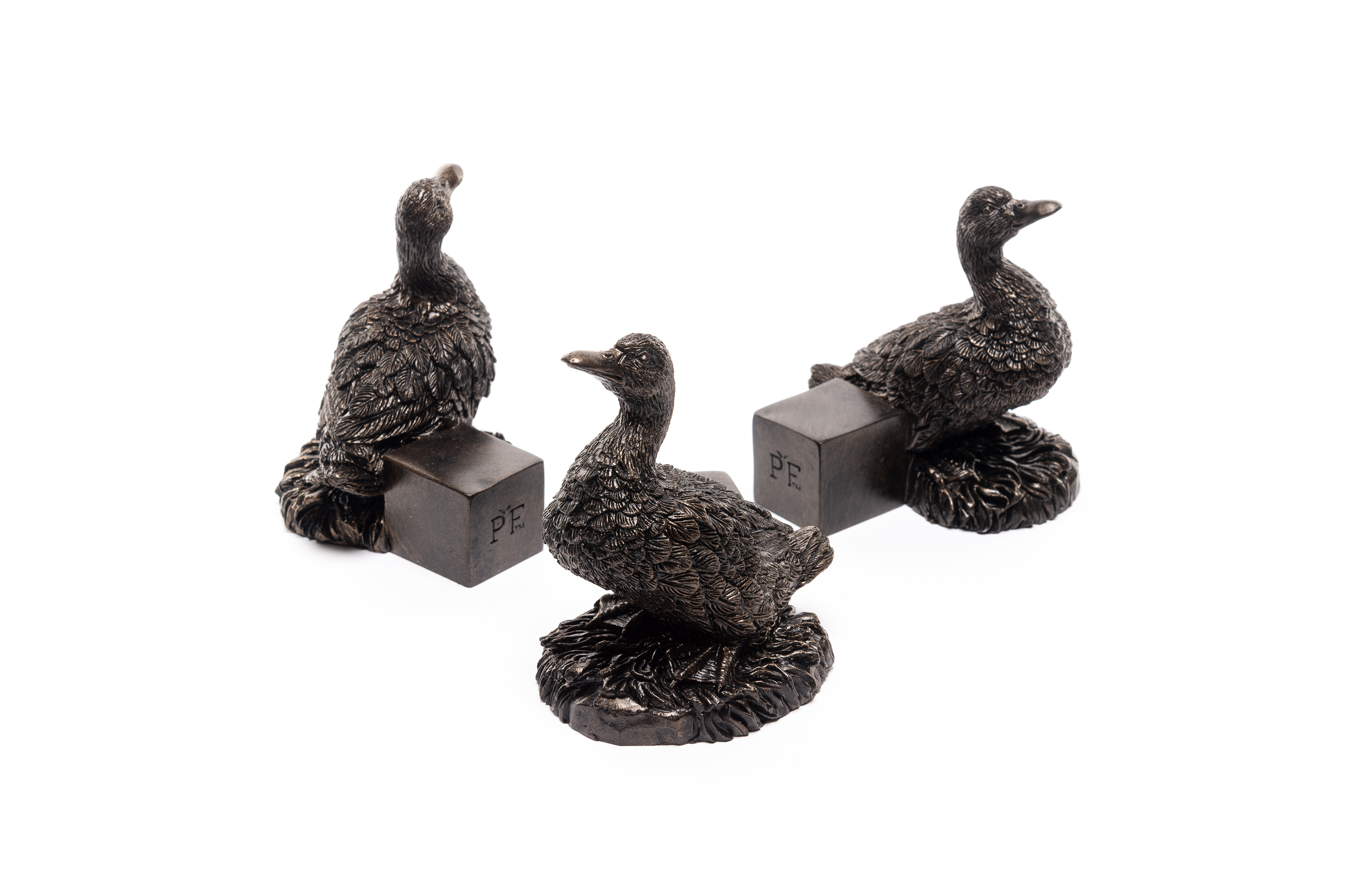 Jardinopia Aylesbury Duck Bronze Coloured Planter Feet In Gift Box | Wayfair