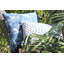 Tropics Square Indoor/Outdoor Pillow Cover & Insert-38521442