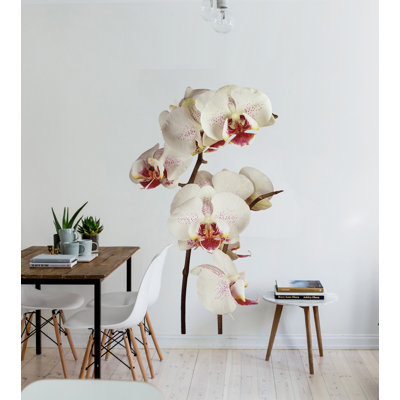Plants & Flowers Wall Decal
