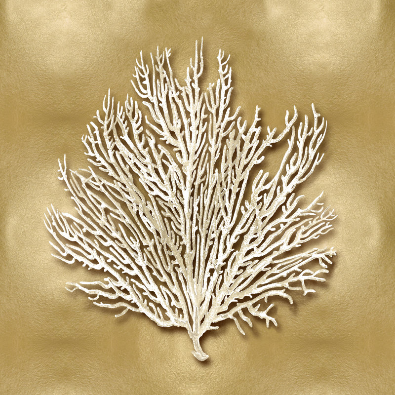 Sea Fan On Gold I by Caroline Kelly - Wrapped Canvas Print, 51cm H x 51cm W