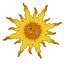 Helios Applique