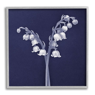 " Lily Of Valley "